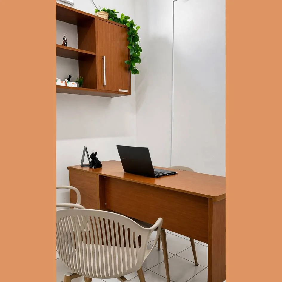 consultorio2-clinica-veterinaria-irmao-sol-franca-sp-