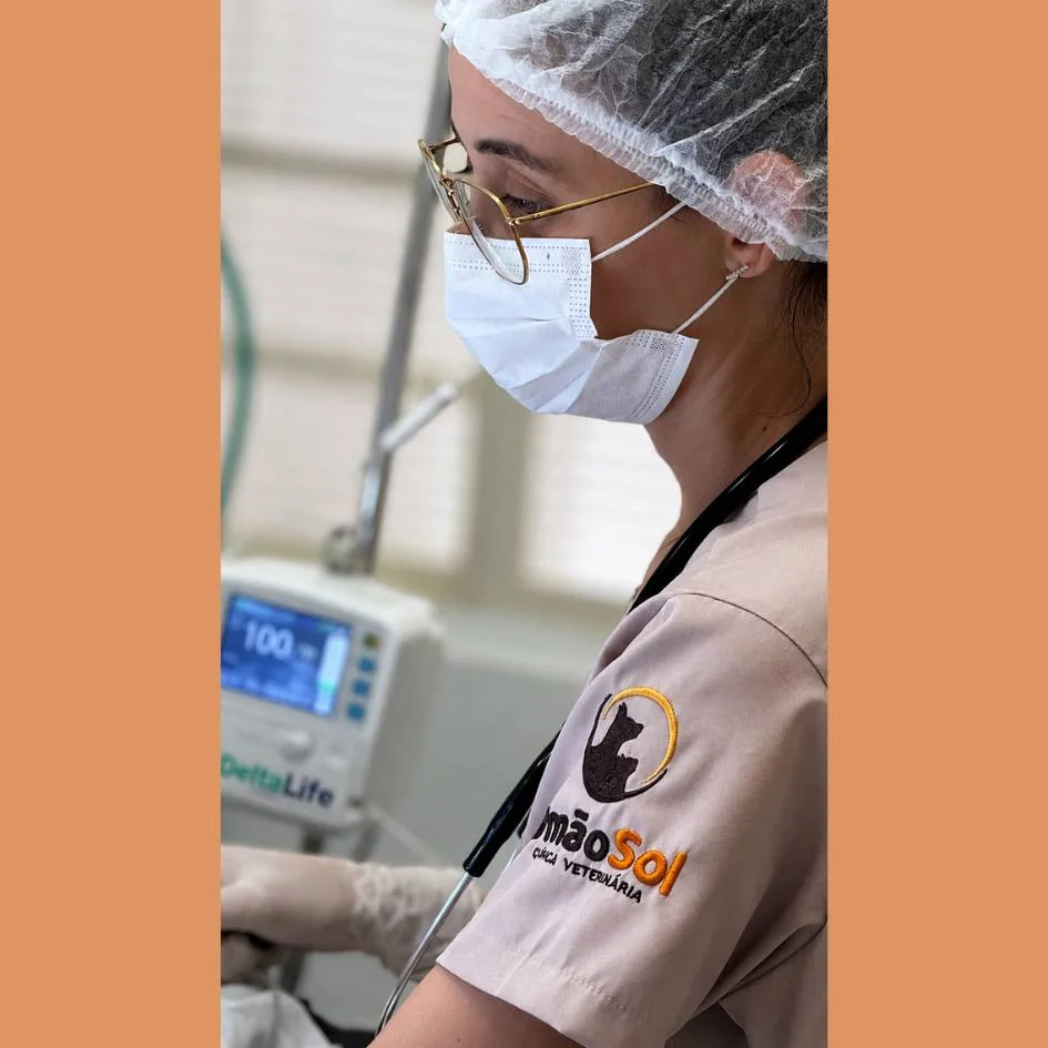 procedimento-clinica-veterinaria-irmao-sol-franca-sp-